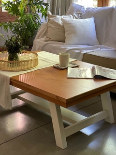 Mesa Ratona madera combinada Net
