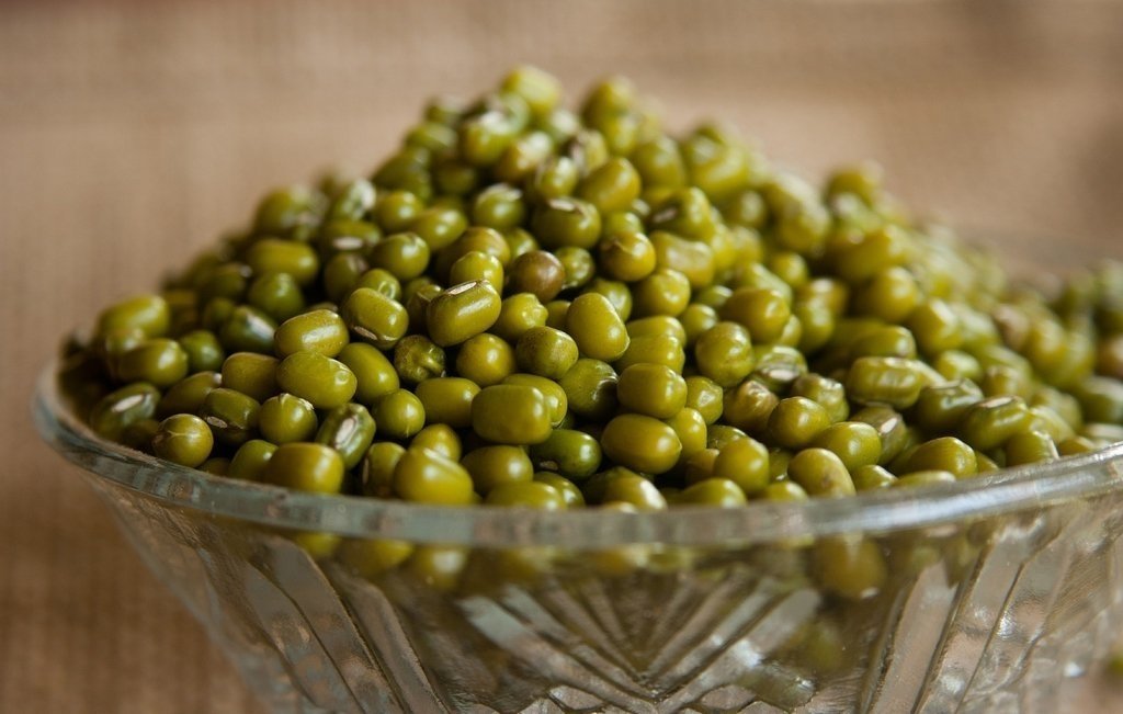 porotos-mung