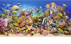(321) Underwater Life - 4000 peças - comprar online