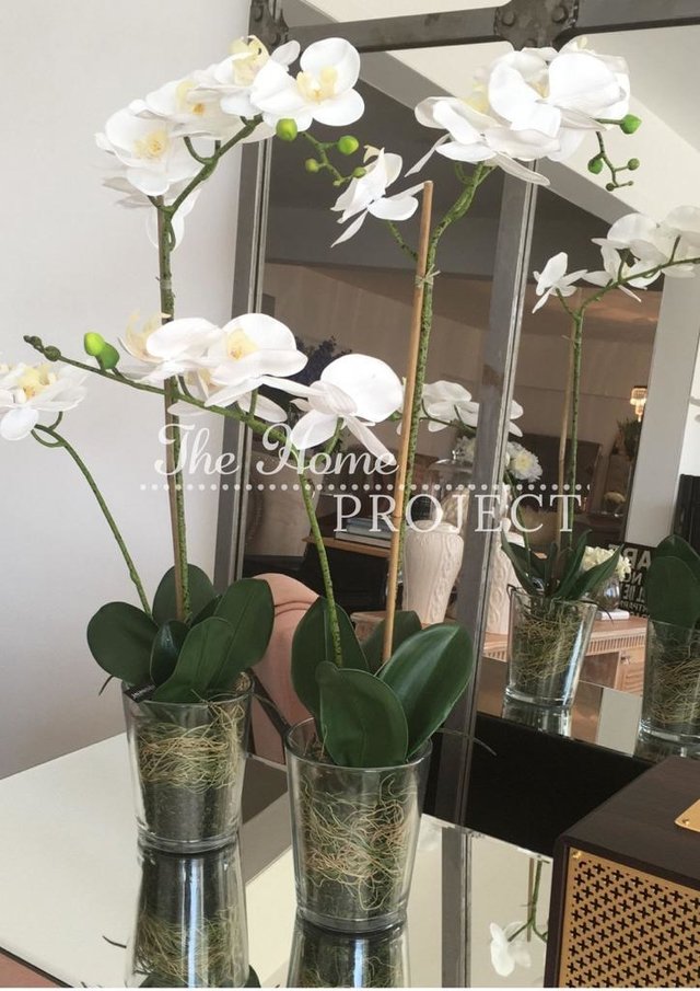 MACETA TRANSPARENTE CON ORQUIDEA|EN STOCK!