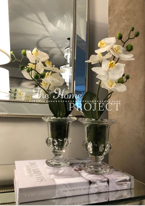 ORQUIDEA EN COPON DE VIDRIO|EN STOCK