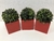 Cachepô Vaso Decorativo Vermelho c Planta Artificial Kit c 3 - comprar online