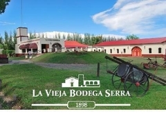 Merlot Roble. Calduch Gimeno de Bodega Boutique LA VIEJA BODEGA. - comprar online