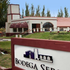Merlot Roble. Calduch Gimeno de Bodega Boutique LA VIEJA BODEGA. en internet