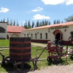 Cabernet Sauvignon Añejo. Familia Serra Pilati de Bodega Boutique LA VIEJA BODEGA. en internet