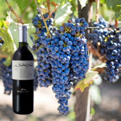 Malbec Añejo. Familia Serra Pilati de Bodega Boutique LA VIEJA BODEGA. - Regionales a tu casa. Varietales Boutique entre otros.