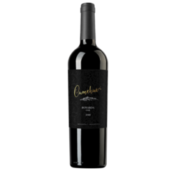 OAK 2019. Bonarda Roble de Bodega Boutique Cumehue.