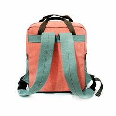 Morral Pepe grillo en internet