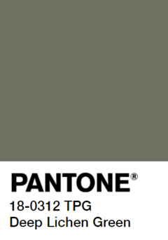 Imagen de Sarga Pesada 8oz Santista (Grafa)