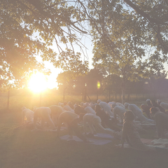 Encuentros en Comunidad: Sadhana, Seva, Langar & Gurdwara