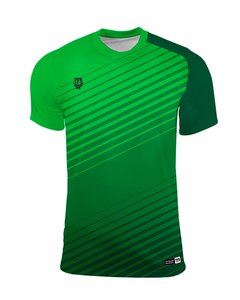 Camiseta Futbol linea Inglaterra