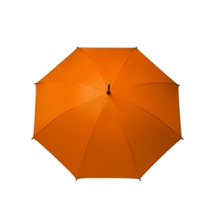 Paraguas 134 - comprar online