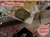 Desayuno Poema - Regalo romantico - - comprar online