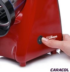 LILIANA MULTIREB-RALLAD EASYSALAD ASM100 - comprar online
