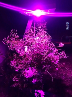Reflector led cultivo alto espectro Hydro Eco 100w oferta entrega gratis en lanus, avellaneda y caba - tienda online