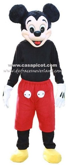 Mickey Mouse (1) en internet