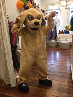 Mascota de Rosario Cup - tienda online