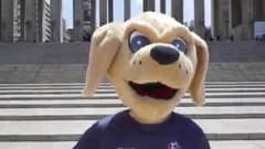 Mascota de Rosario Cup