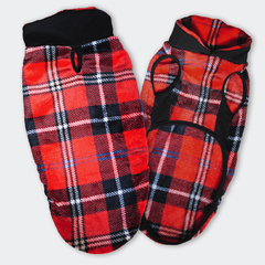 Buzo soft Salchi "COLLEGE NEGRO"