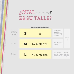 Cinturón de seguridad "Rainbow" - comprar online