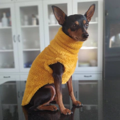 Buzo osito "MAIZ" en internet