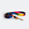 Correa "Rainbow"