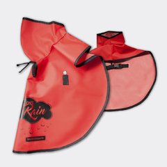 Piloto "Rubí"