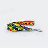 Correa "Circus" - comprar online