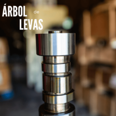 Arboles de Leva