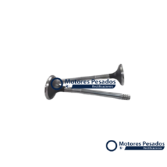 Valvulas para Maxion 2.5 HS - 4 cil.