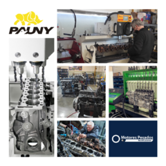 Rectificación motores Pauny