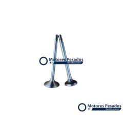 Valvulas para Mercedes Benz OM366 LA - 6 cil.