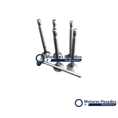 Valvulas para Mercedes Benz OM312 - 3500