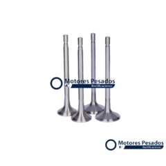 Valvulas para Mercedes Benz OM449 - 5 cil.