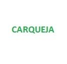 Carqueja 100 grms.