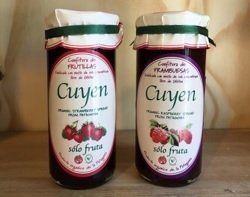 Mermelada de Frutilla "Cuyen" 285 grms.