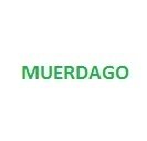 Muérdago 100 grms.