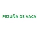 Pezuña de Vaca 100 grms.