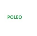 Poleo 100 grms.