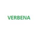 Verbena 100 grms.