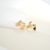 Anillo SEDRE