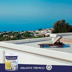 Thermocontrol Techos Memb. Liquida en internet