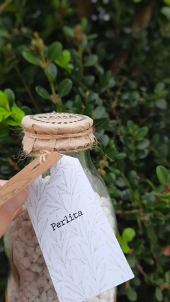 Ingredientes para tu sustrato: Perlita