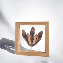 Cuadros botánicos 15x15 cm - comprar online