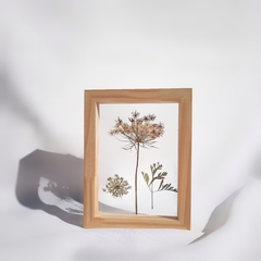 Cuadros botánicos 13 x18 cm en internet