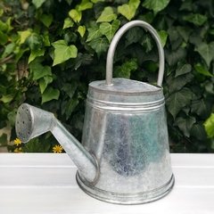 regadera de chapa vintage zinc 