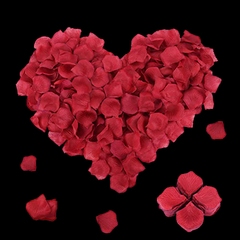 Corazón de pétalos de rosa