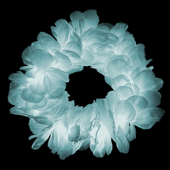 Vincha corona led de flores color aguamarina