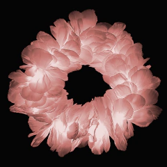 Vincha corona led de flores color rosa pastel