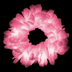 Vincha corona led de flores color rosa